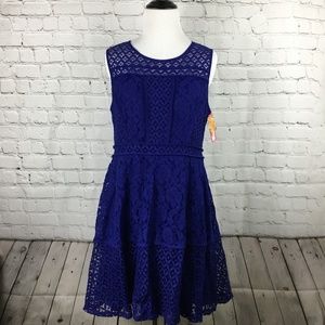 Xhilaration Cobalt Full Bloom Lace Dress